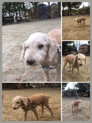 1673D2DF-931D-49BD-9EDF-F21AAB55CADF.jpeg