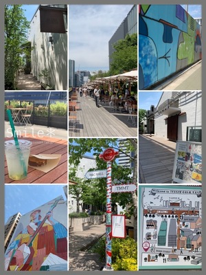 51BDEEF3-2D5F-4DB4-B62D-255B1A57900D.jpeg