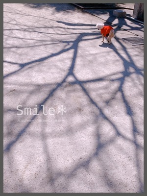 09671536-57DE-4C55-A266-3F20302FA6B3.jpeg