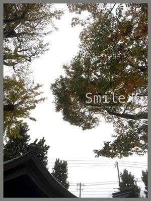 B2446EBE-6206-4C43-875D-466E740BDFC9.jpeg