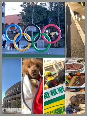 D4EF0695-F153-48E7-A1AF-9D6A3B611260.jpeg